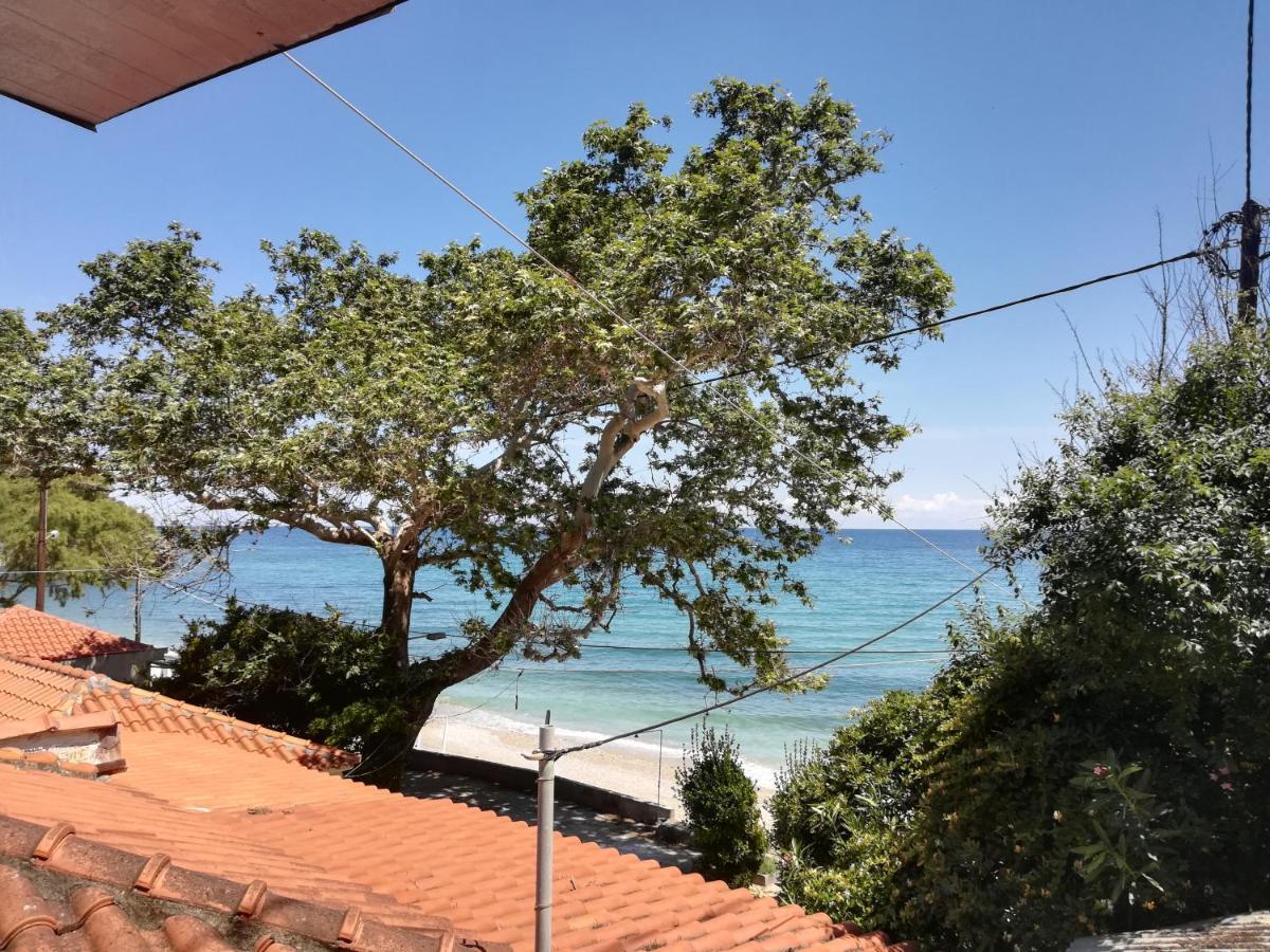 Feel At Home Κεραμίδι Εξωτερικό φωτογραφία